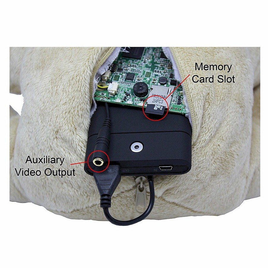 indoor camera hidden